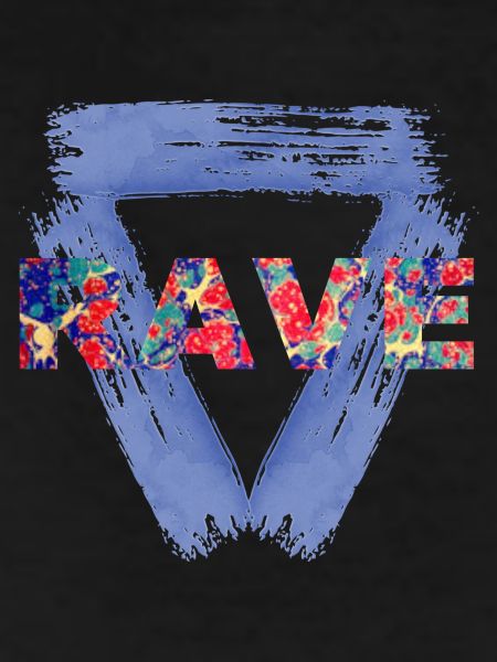 rave e 42