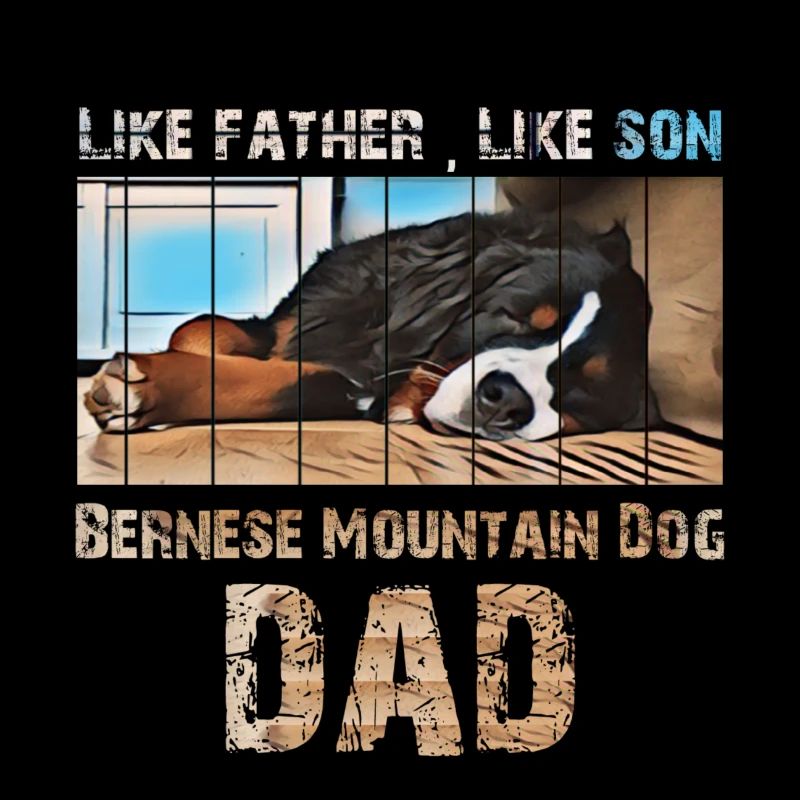 Bernese mountain dog