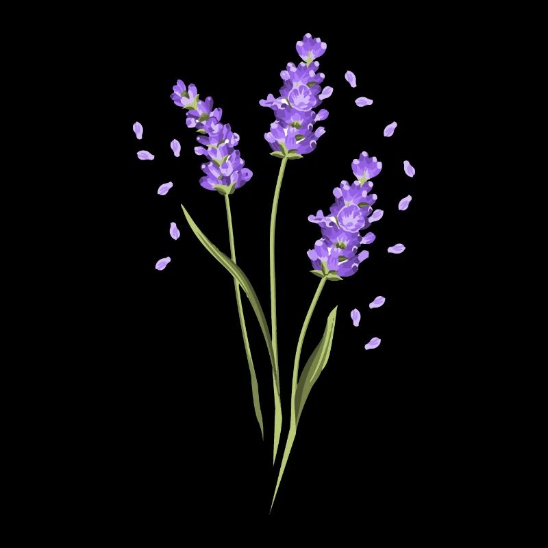 Blume Lila Lavendel Sommer Blume Geschenkidee