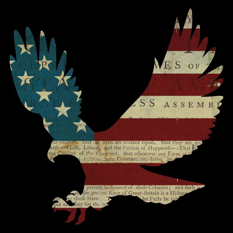 Bald Eagle America