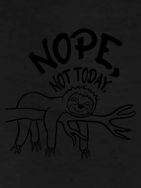 Funny Nope Sloth