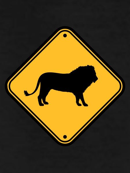 Beware Lion Shield