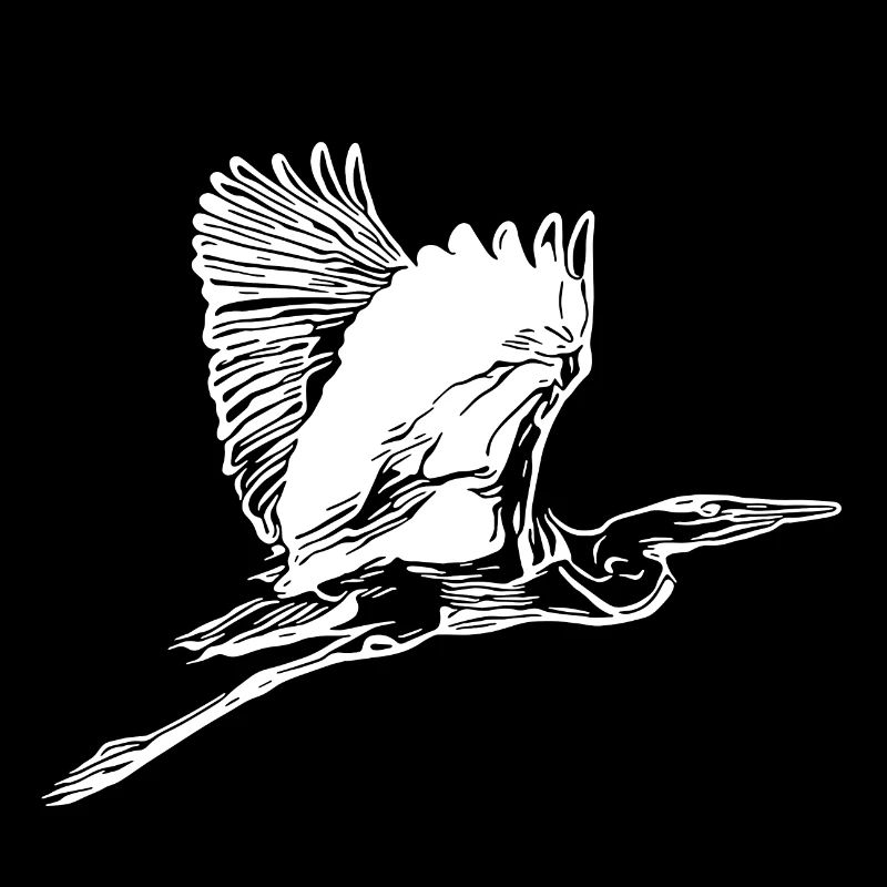 Vintage grey heron in flight