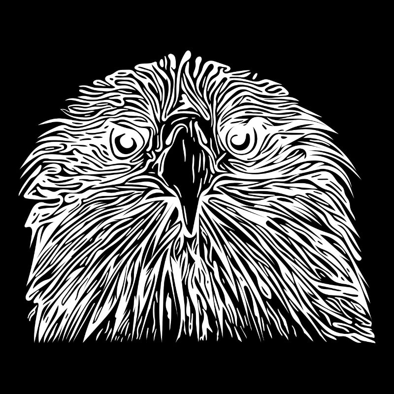 Eagle Portrait for Birdwatchers