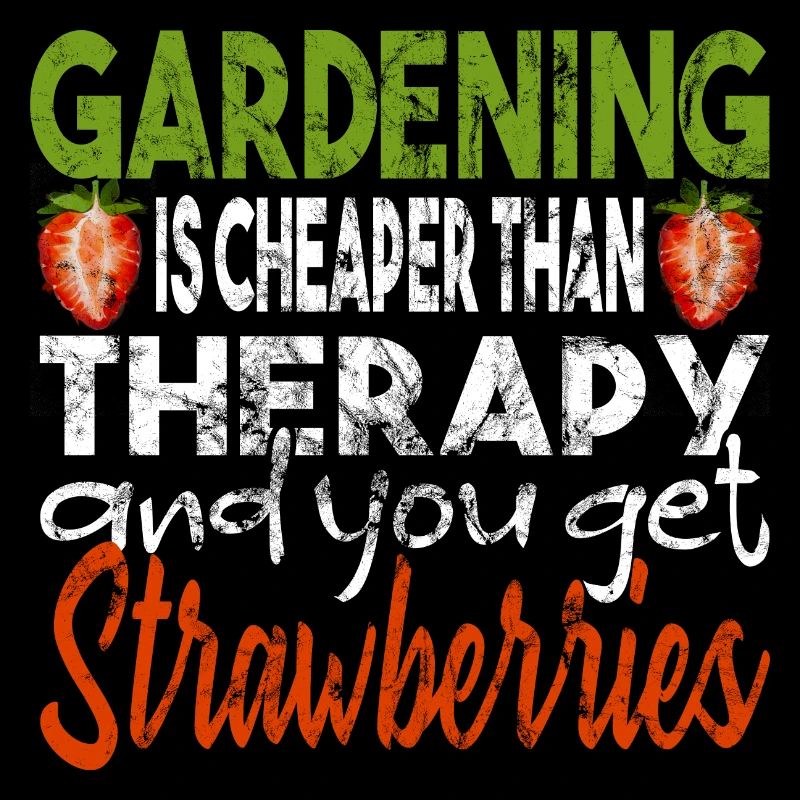 Erdbeeren pflücken