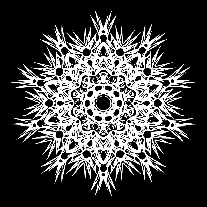 Geometric lines mandala shape