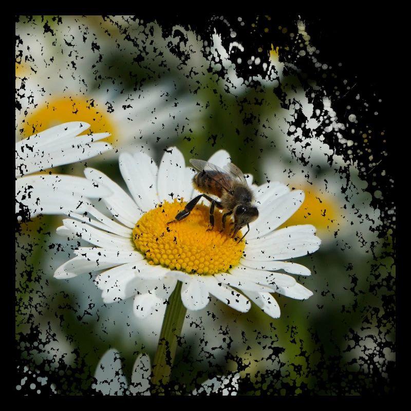 A bee collects pollen