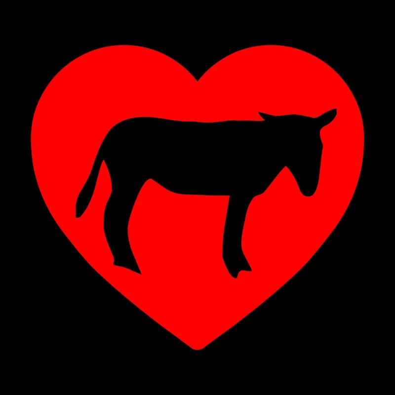 Donkey