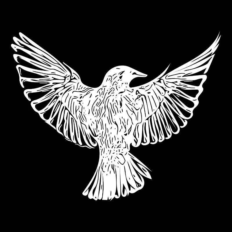 Bird in flight with open wings