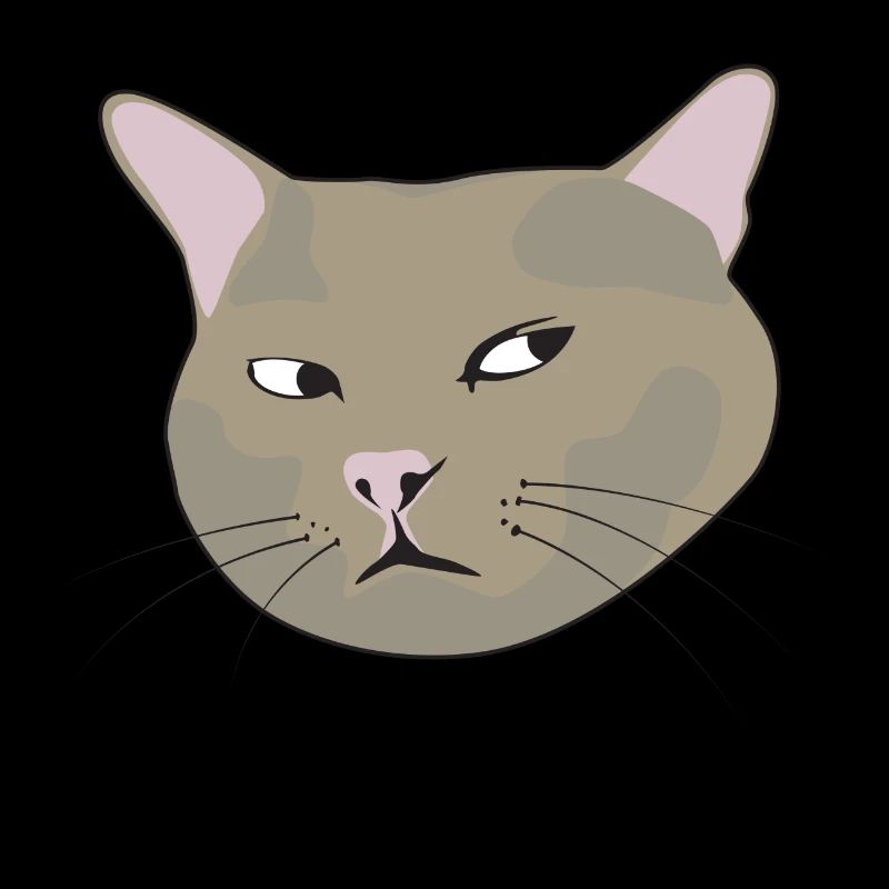 Tee-shirt marrant chat | Cadeau rigolo