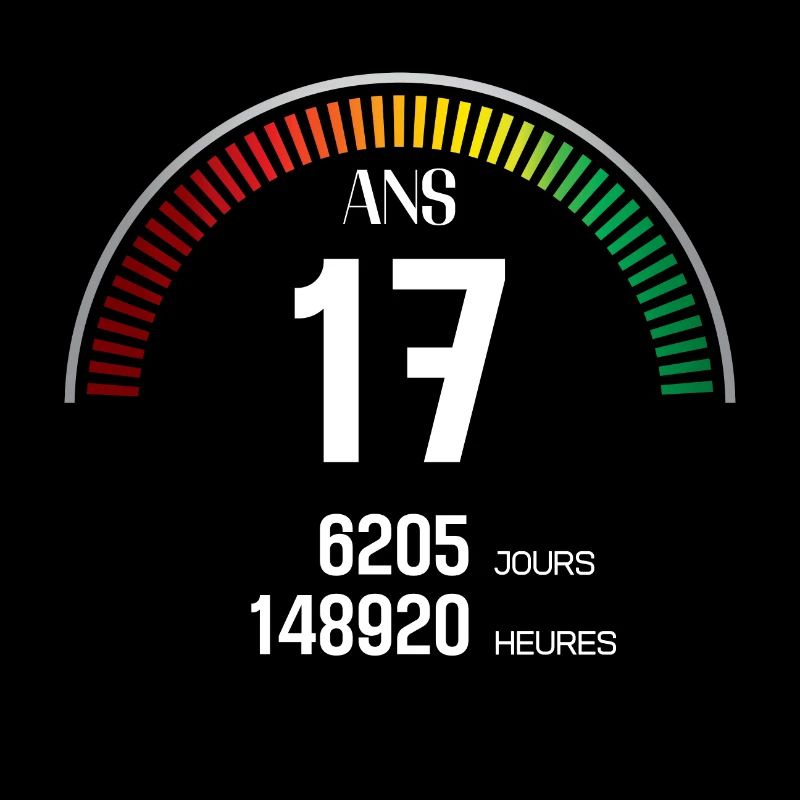 Anniversaire 17 ans Compteur