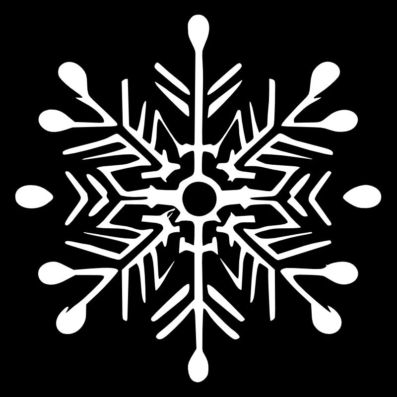 Snowflake Snow Winter Christmas Vector 2