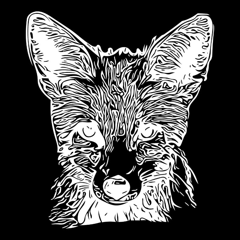 Cute Young Fox Drawing