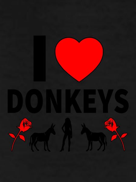 Donkey