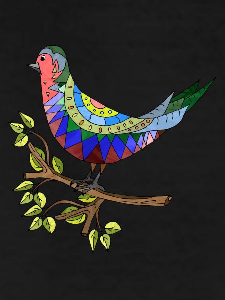 Bird