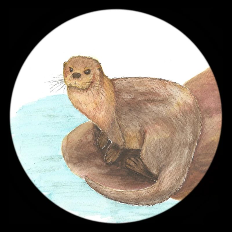 otter 2 04 01 2023