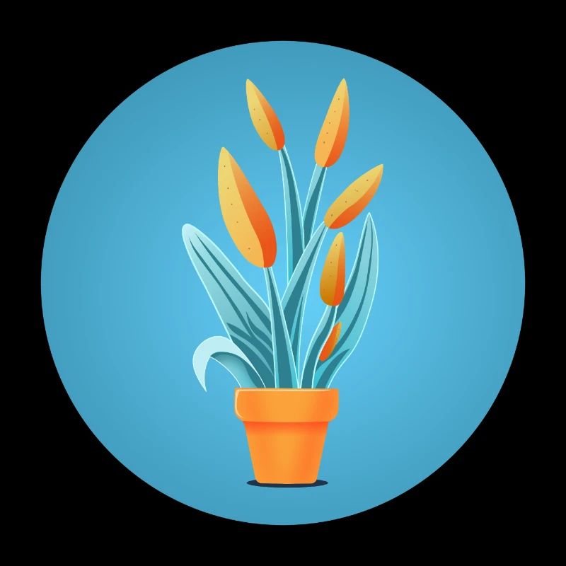 Planter dans un pot en argile