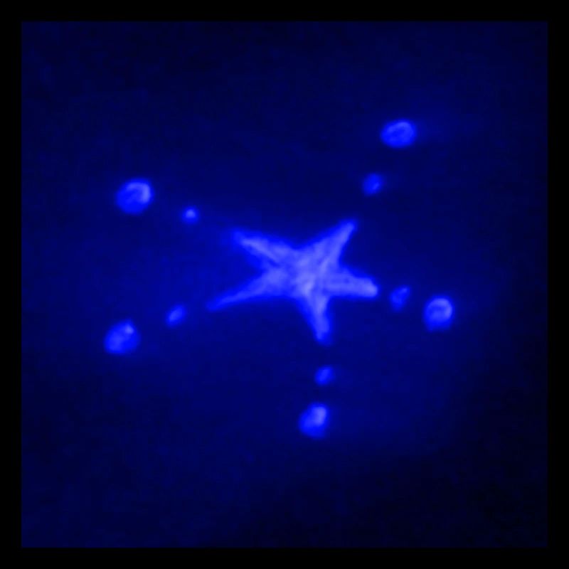 ELEKTRISCHER BLAUER STERN