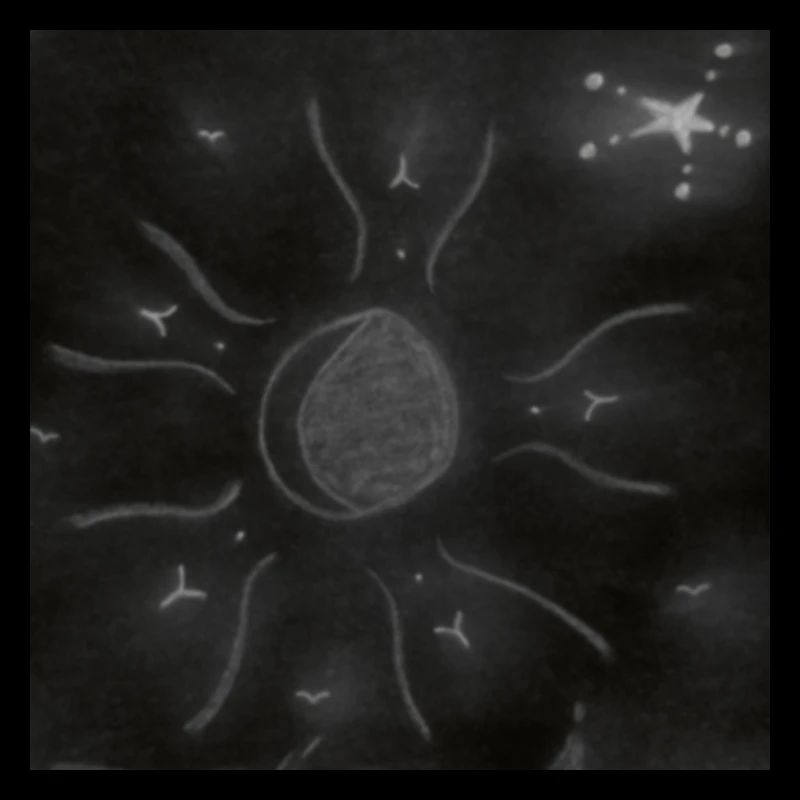 LUNE ÉTOILÉE