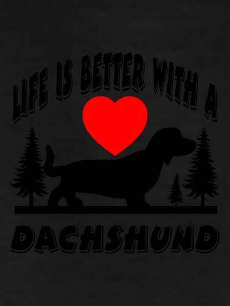 Dachshund