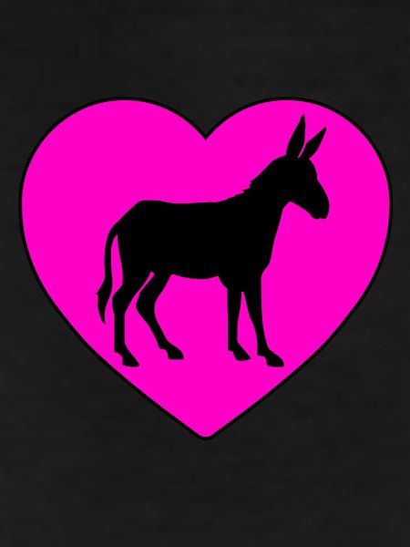 Donkey