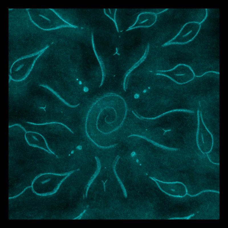 SONNE UND BLAUE BLUMEN