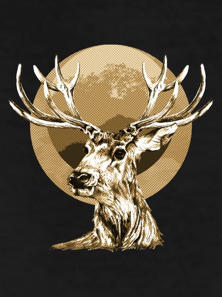 Deer