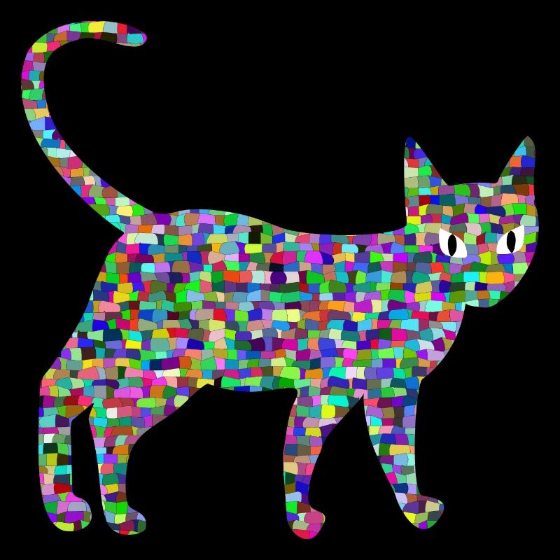 Chat coloré, Défilé