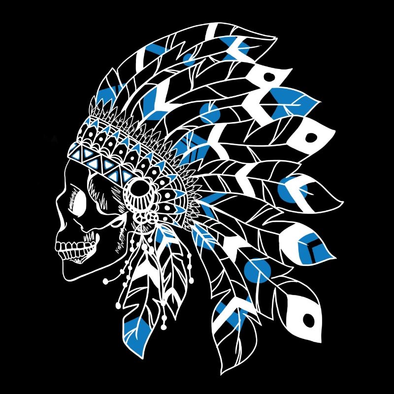 crâne avec coiffe indienne blanc et bleu