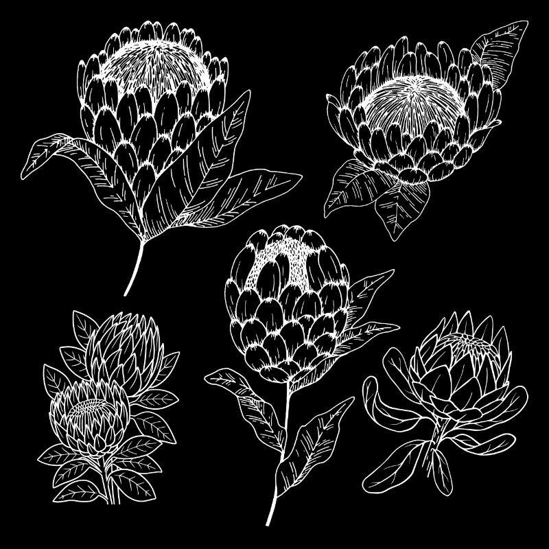 Groupe de fleurs protea