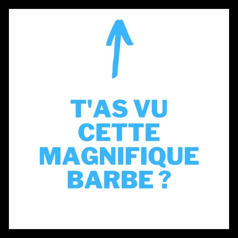 T as vu cette Magnifque Barbe