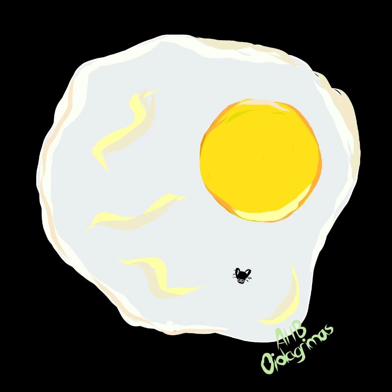 FRIED EGG v fly
