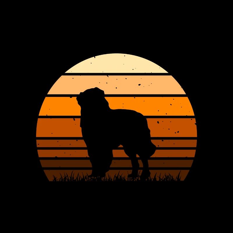 Chien de berger des Carpates Silhouette Rétro Coucher de soleil