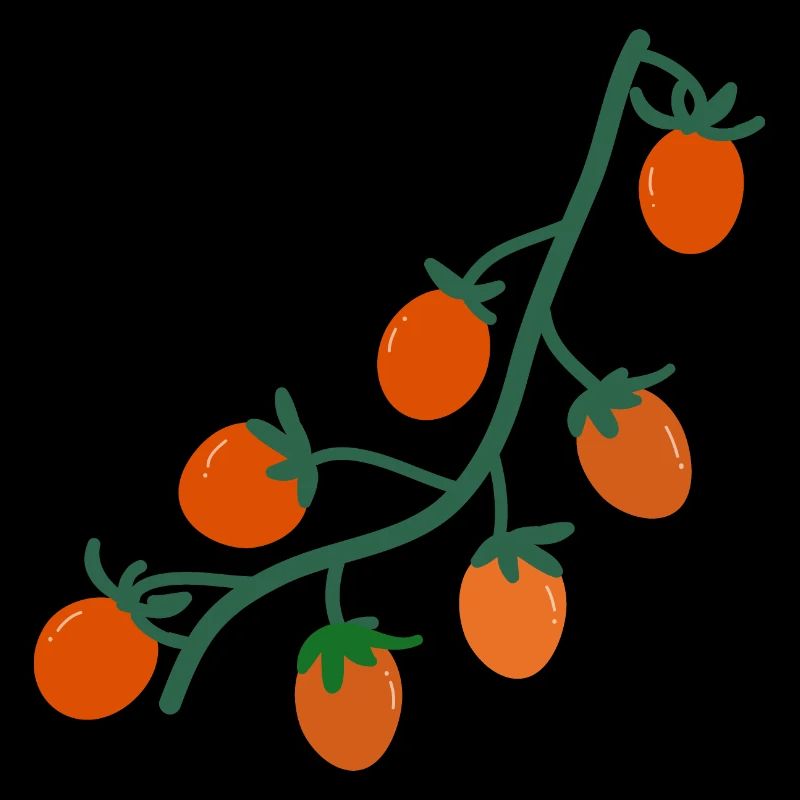 Cherry tomatoes２