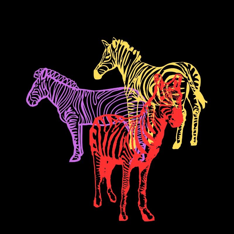 Multicolored zebra