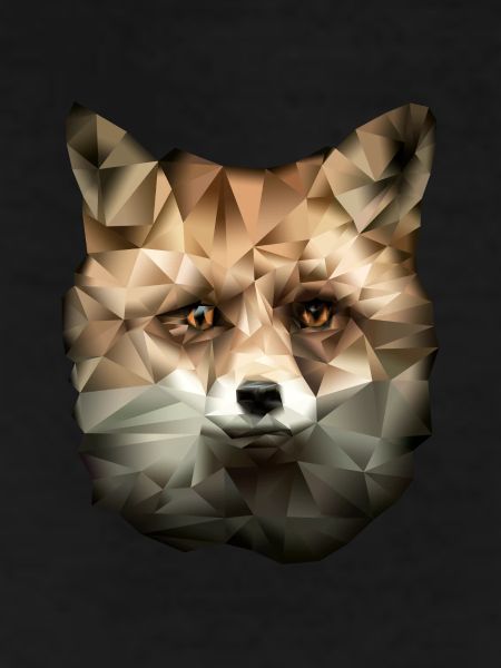 Polygon Fox