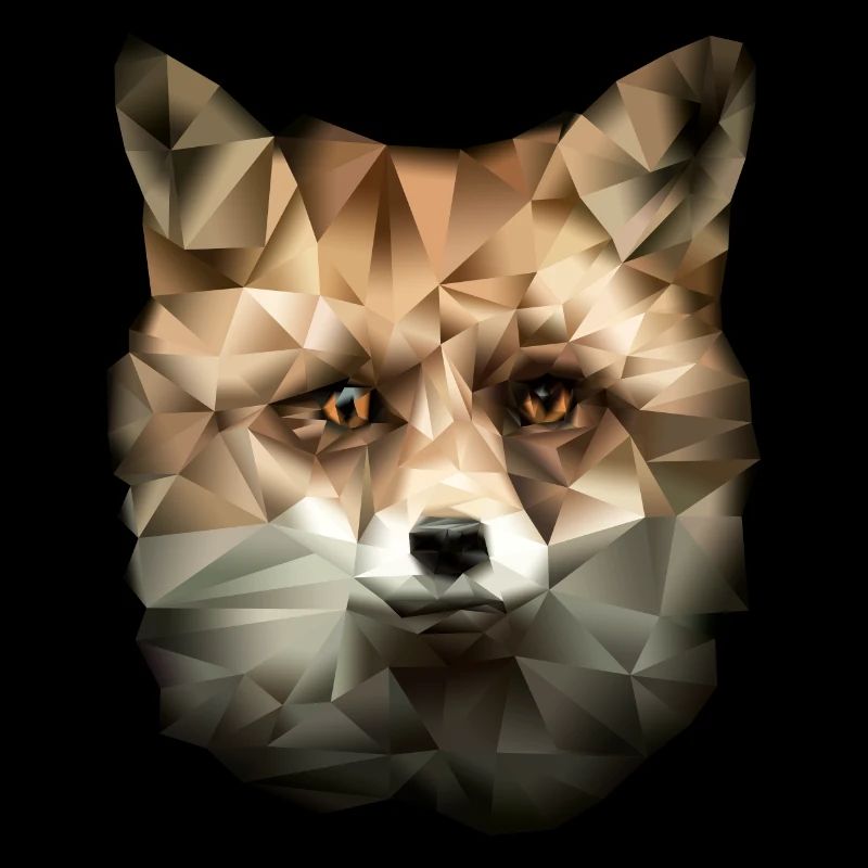 Renard polygonal