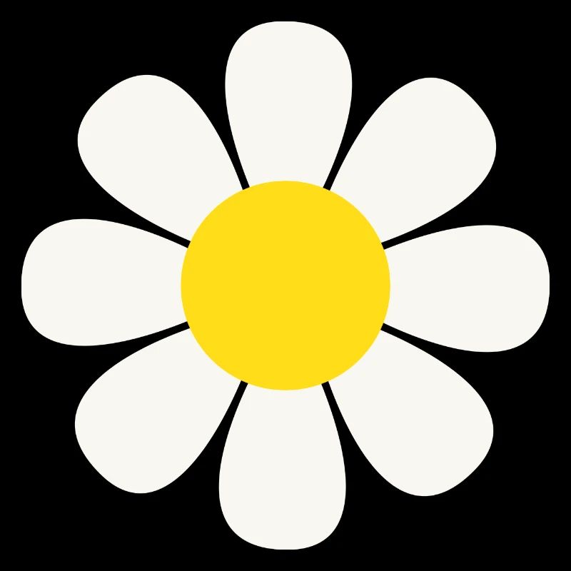 Gänseblümchen Blume Fleur de marguerite