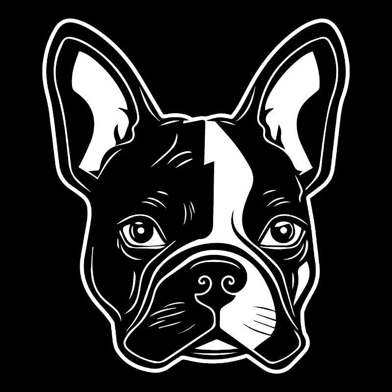 Bouledogue français Terrier de Boston