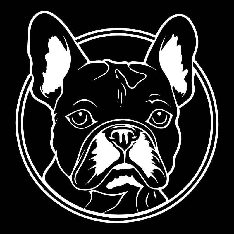 Bouledogue français Terrier de Boston