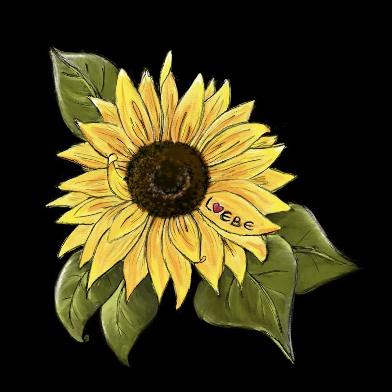 Sonnenblume 🌻