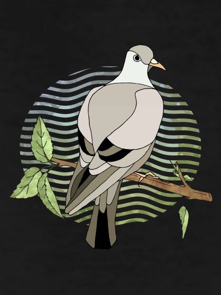 Oiseau