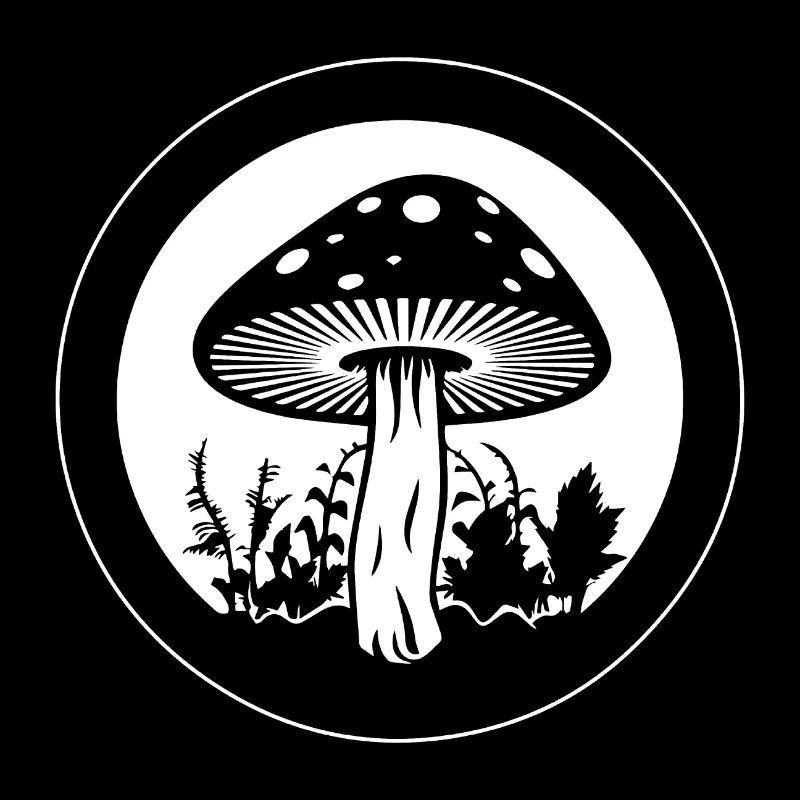 Champignon Cueilleur de champignons Champignons Champignons