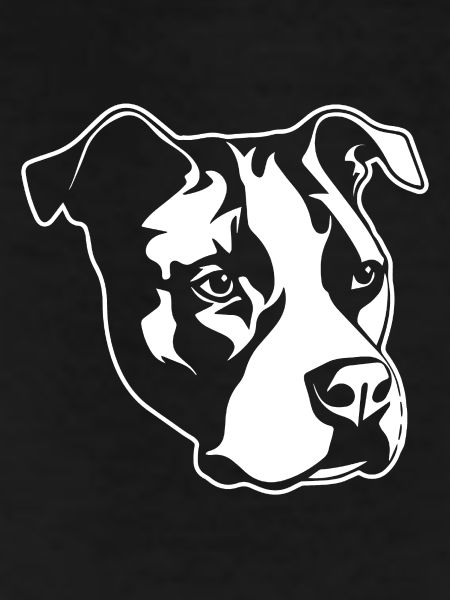 Pitbull