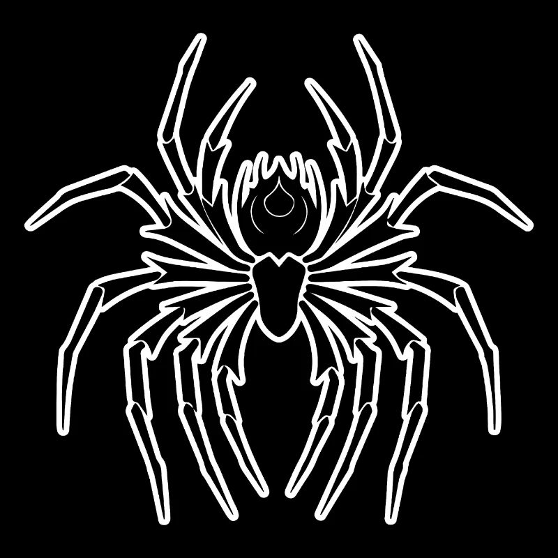 Spinne Spinnen Tiere