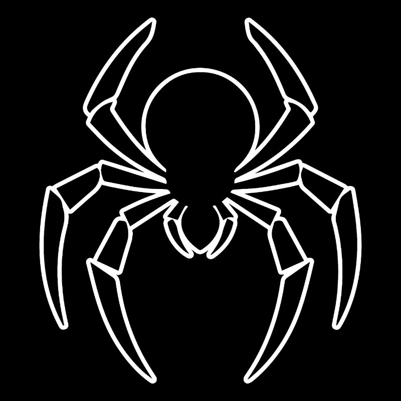 Spinne Spinnen Tiere