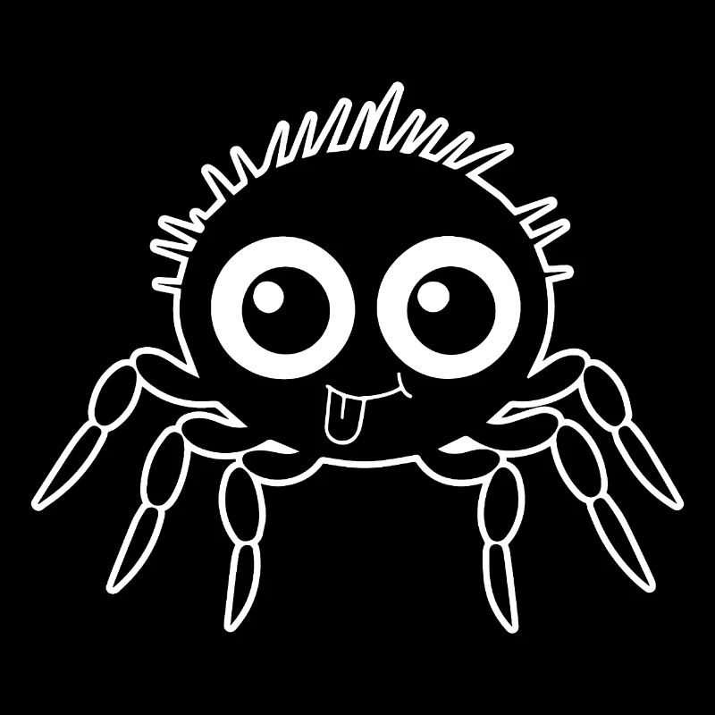 Spinne Spinnen Tiere