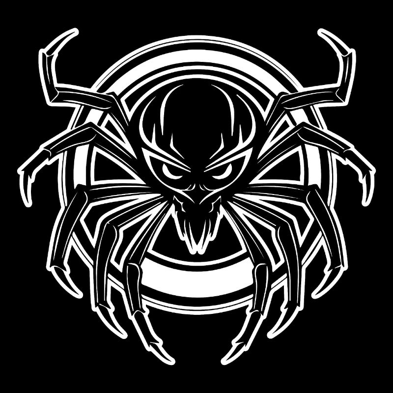 Spider spiders animals