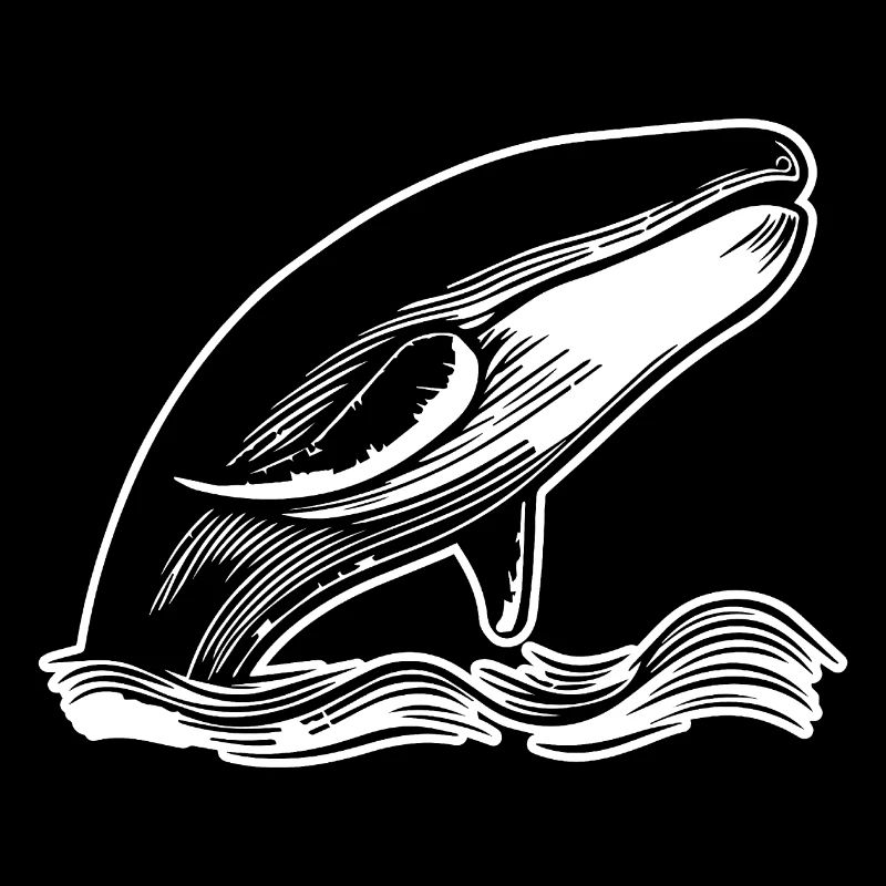 Baleine Poisson de mer