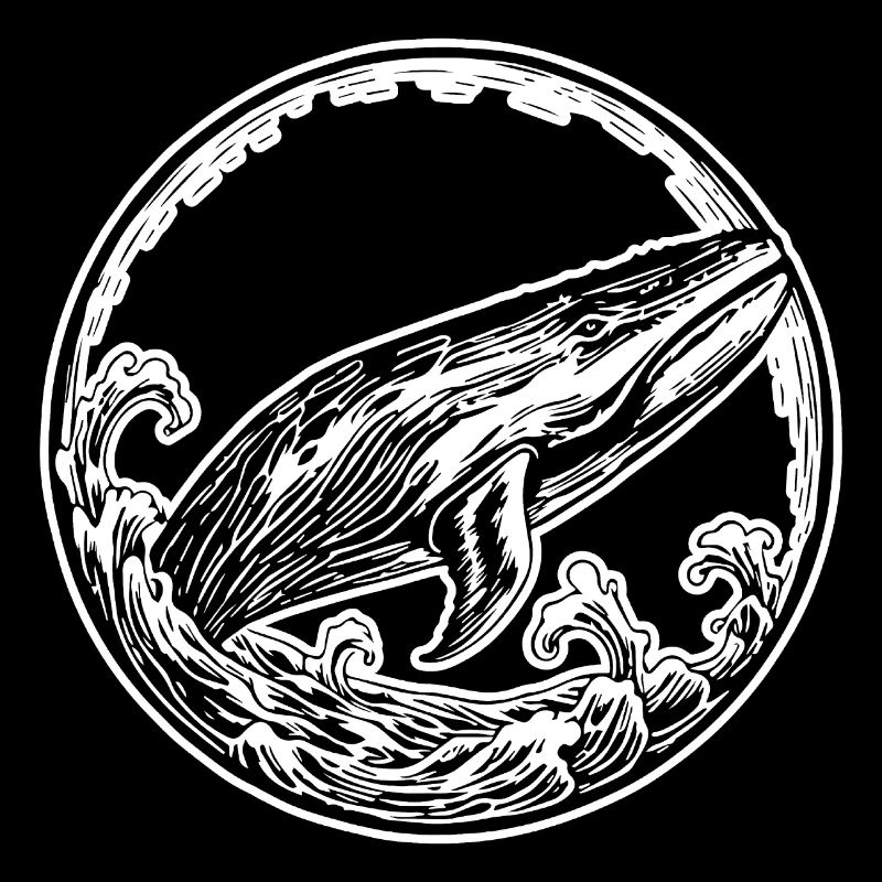 Baleine Poisson de mer